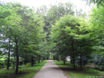 Gravenallee